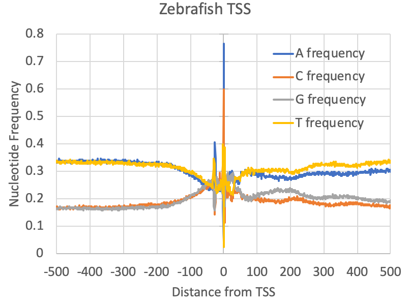 zebrafish nucleotide
                frequencies near TSS csRNA-seq