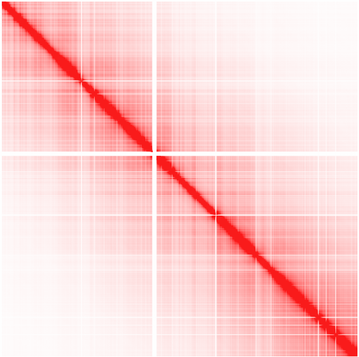 HiC Chr1 Expected Interactions 100kb