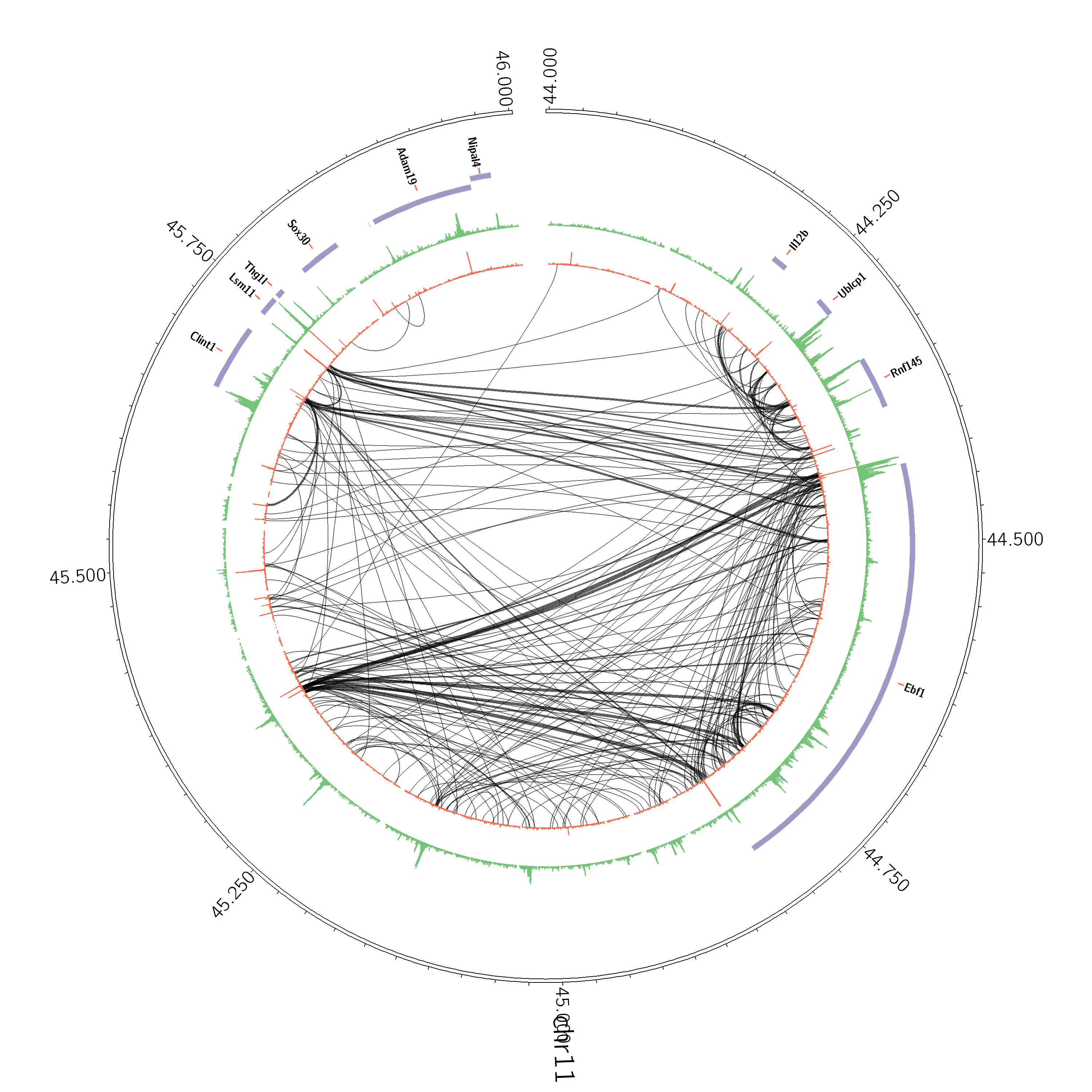 Hi-C Circos Example Genes