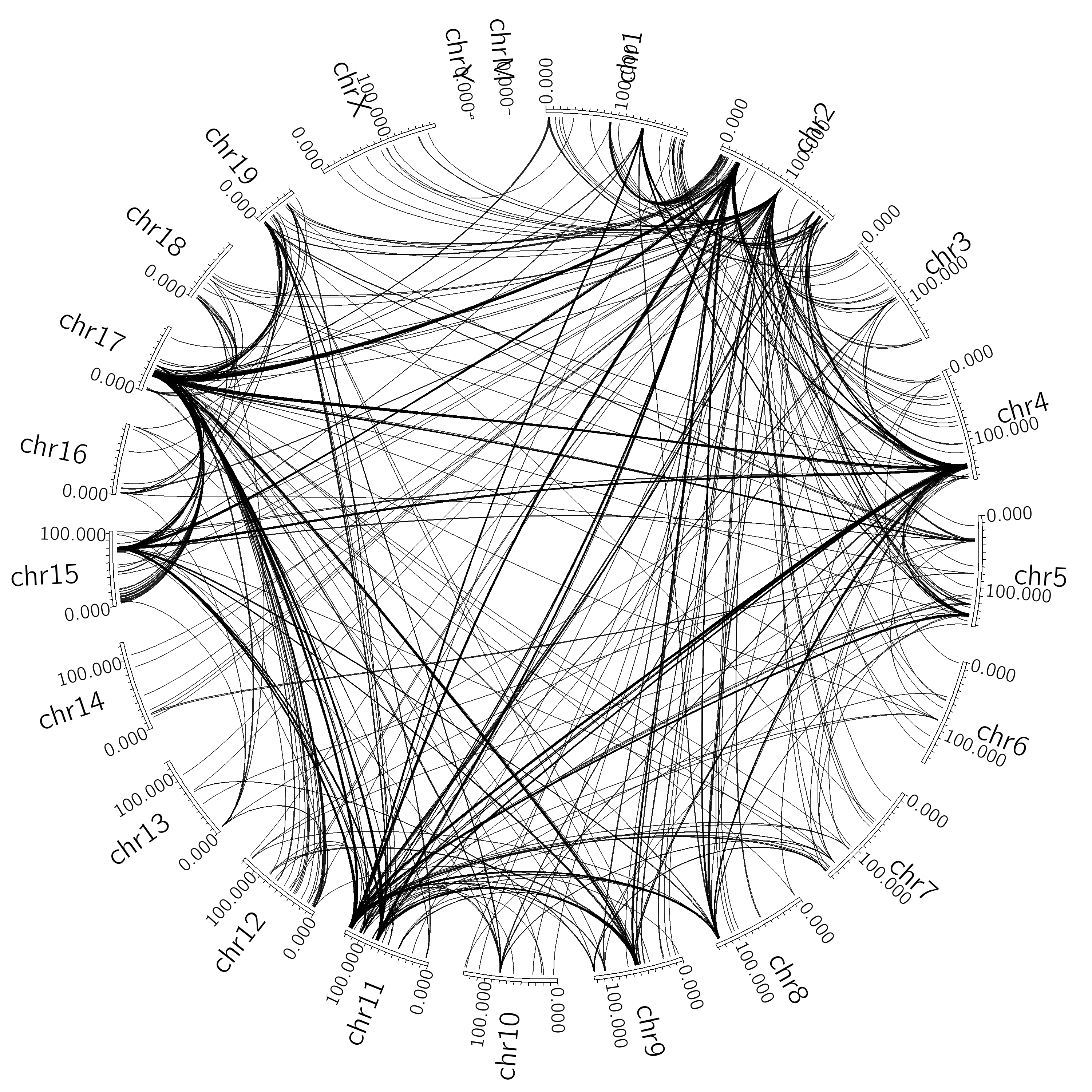 Circos Interchromosomal Interactions
                  Hi-C Homer