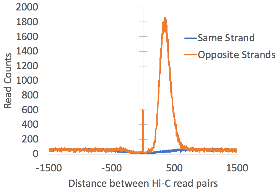 Local
                  distribution of Hi-C reads