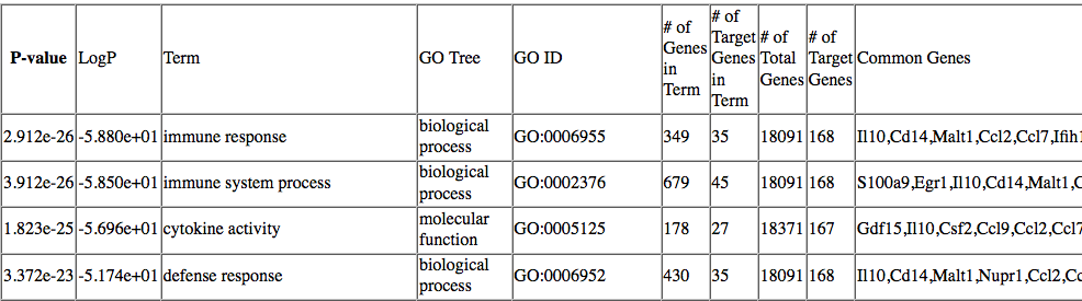 example GO
                output