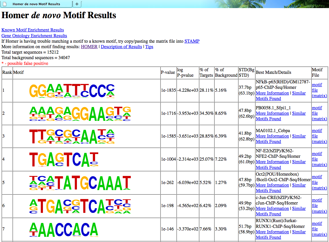 example HTML output