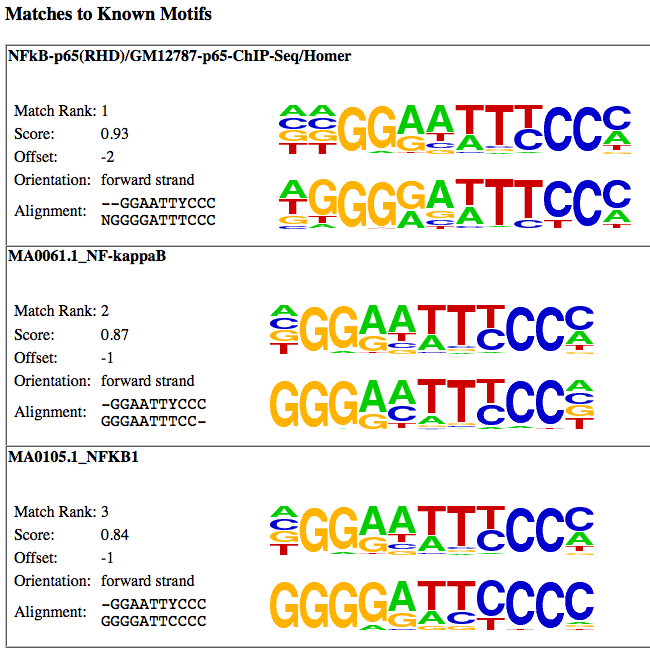 motif matching