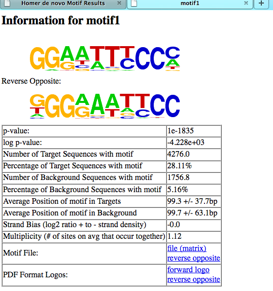 Example motif
                      information