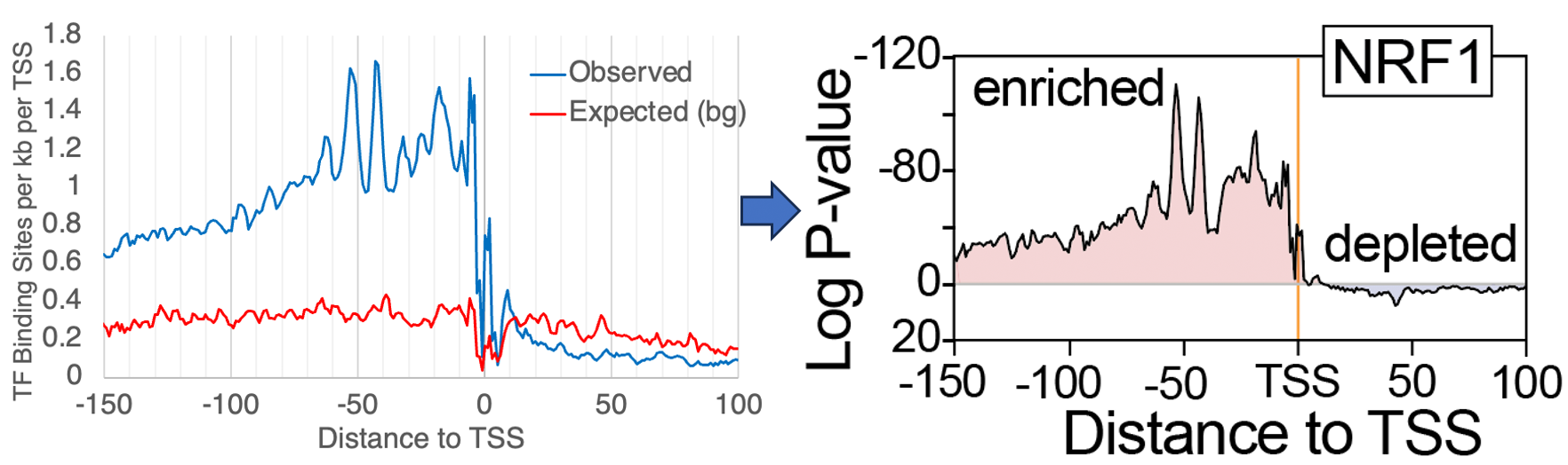 NRF1 HOMER
                  normalization example enrichment depletion