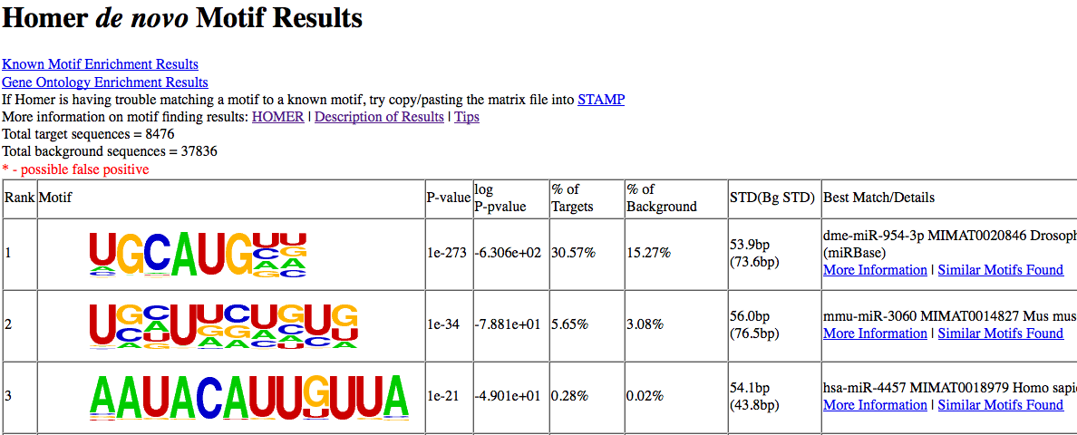 FOX RNA binding motif