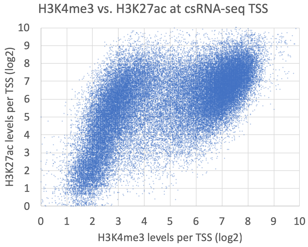 H3K4me3 vs. H3K27ac at
                  csRNA-seq TSS