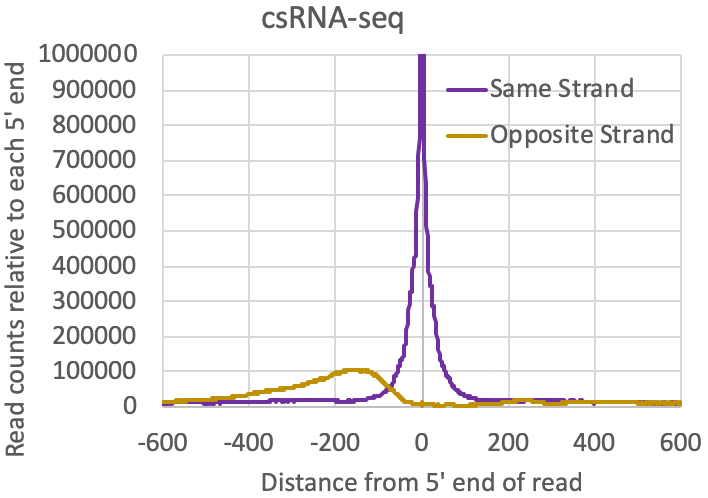 tag
                    autocorrelation csRNA-seq