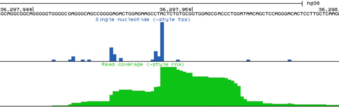 Example of csRNA-seq
                  in genome browser