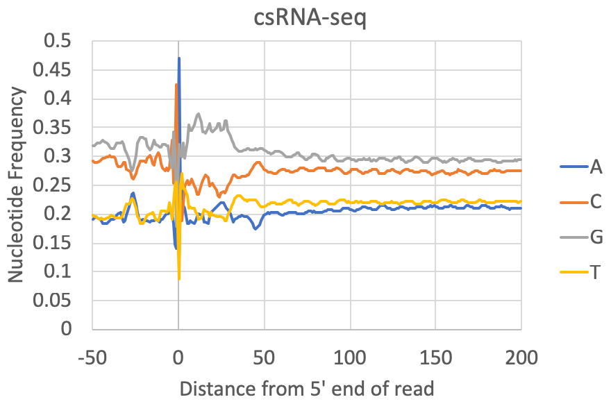 Nucleotide frequency
                    of reads csRNA-seq