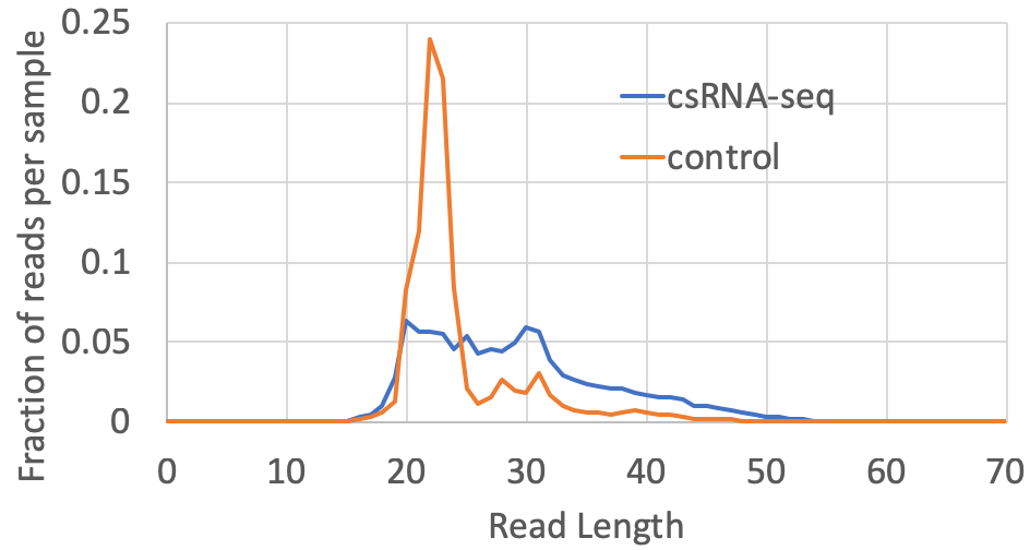 csRNA-seq read
                    lengths