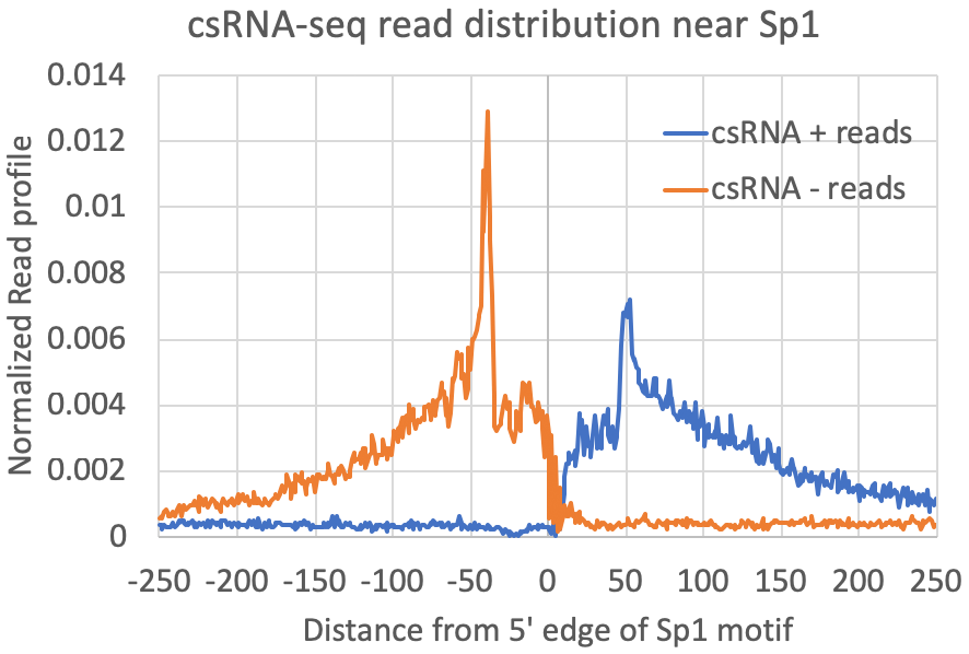 csRNA-seq reads relative
                  to Sp1 motifs