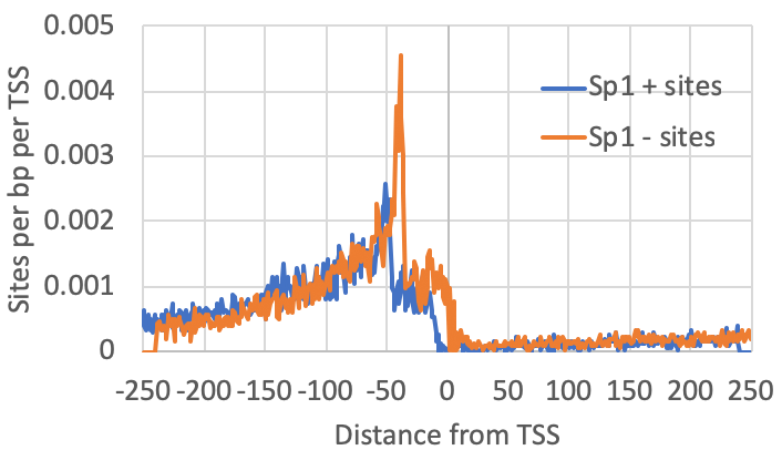 Distribution of
                    Sp1 sites relative to TSS csRNA-seq
