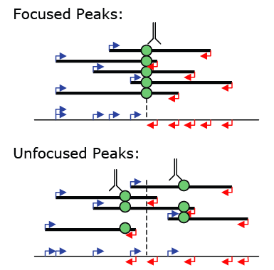 focused peak schematic