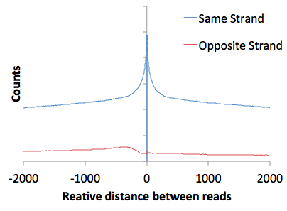 gro-seq autocorrelation