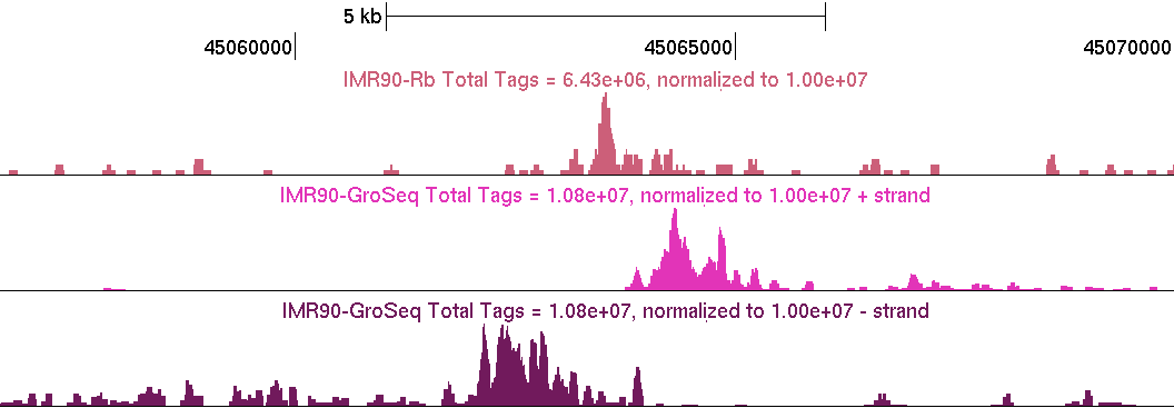 GRO-Seq near Transcription
                  Factors