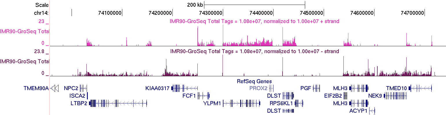 Groseq UCSC
                genome browser shot