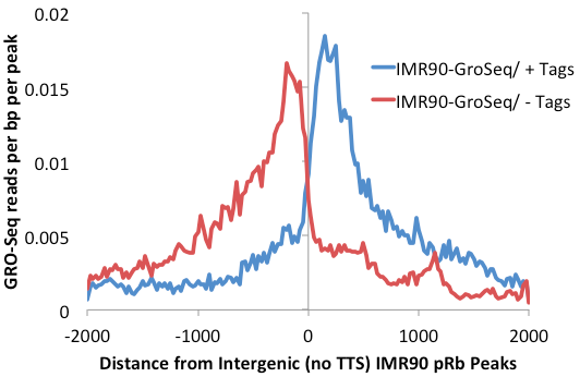 Rb GRO-Seq histogram no TSS