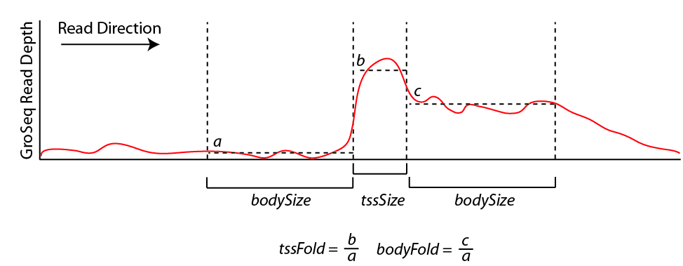 Gro-seq groseq schematic