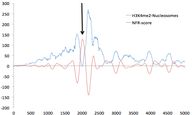 NFR
                    example