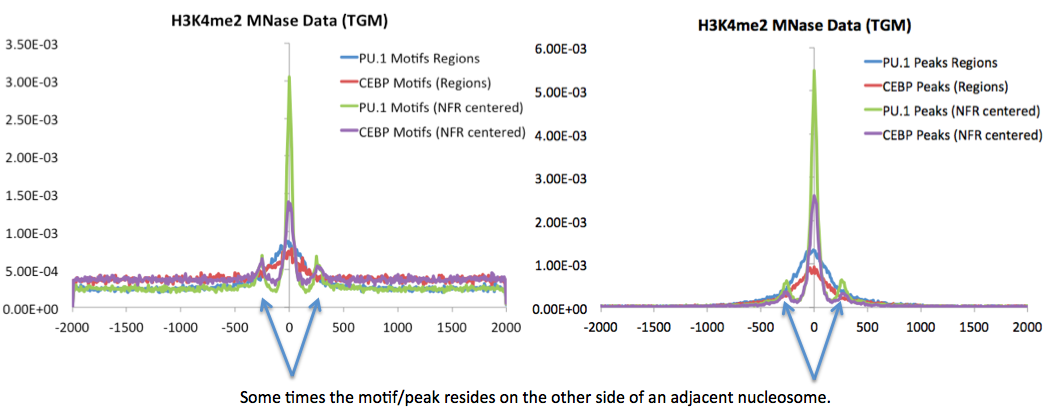 nucleosome free region
                    detection motifs peaks